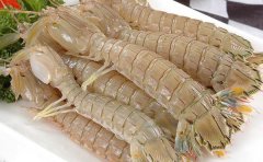 热点推荐：皮皮虾不能和什么一起吃，皮皮虾不合的食物