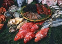 热点推荐：海鱼不能和什么一起吃，海鱼不合的食物